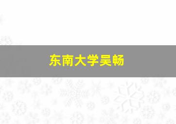 东南大学吴畅