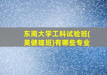 东南大学工科试验班(吴健雄班)有哪些专业