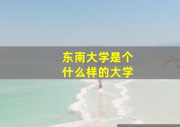 东南大学是个什么样的大学