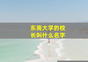 东南大学的校长叫什么名字