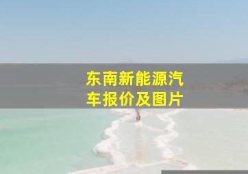 东南新能源汽车报价及图片