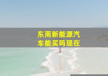 东南新能源汽车能买吗现在