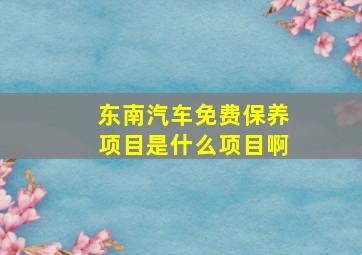 东南汽车免费保养项目是什么项目啊