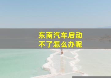 东南汽车启动不了怎么办呢