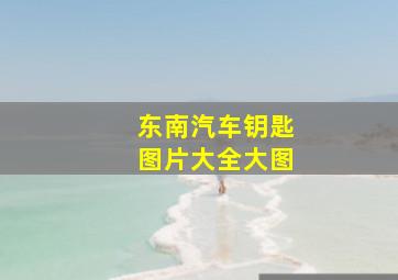 东南汽车钥匙图片大全大图