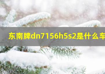 东南牌dn7156h5s2是什么车型