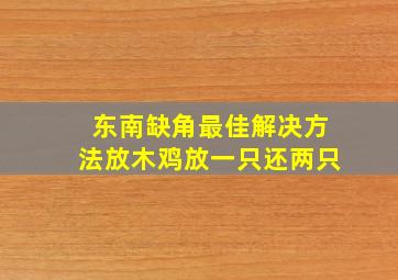 东南缺角最佳解决方法放木鸡放一只还两只