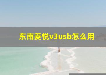 东南菱悦v3usb怎么用