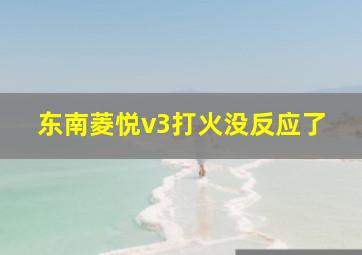 东南菱悦v3打火没反应了