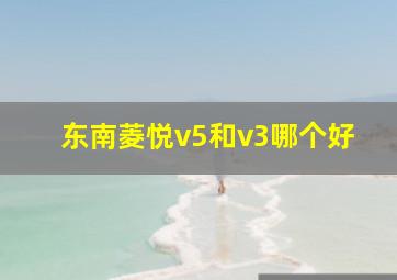 东南菱悦v5和v3哪个好