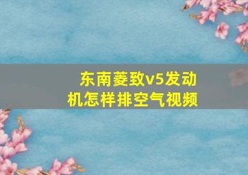 东南菱致v5发动机怎样排空气视频