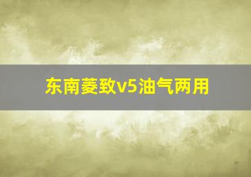 东南菱致v5油气两用