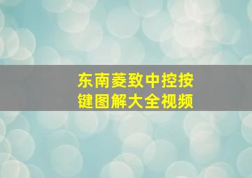 东南菱致中控按键图解大全视频