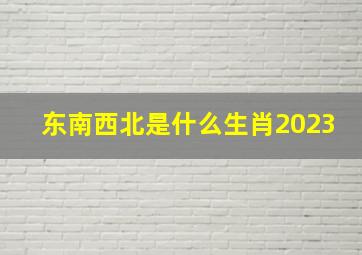 东南西北是什么生肖2023