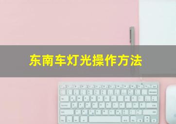 东南车灯光操作方法