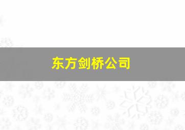 东方剑桥公司