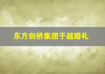 东方剑桥集团于越婚礼