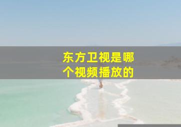 东方卫视是哪个视频播放的