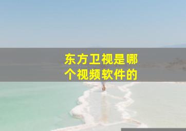 东方卫视是哪个视频软件的