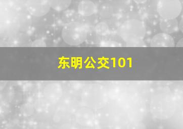 东明公交101