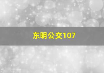 东明公交107