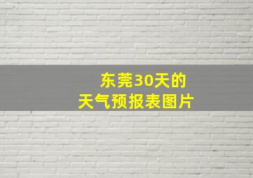 东莞30天的天气预报表图片