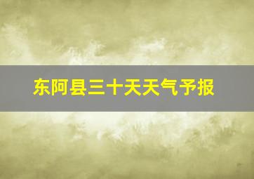 东阿县三十天天气予报