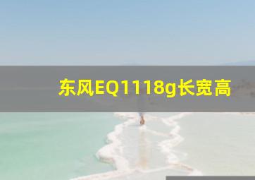 东风EQ1118g长宽高