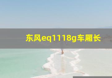 东风eq1118g车厢长