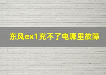 东风ex1充不了电哪里故障