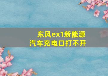 东风ex1新能源汽车充电口打不开