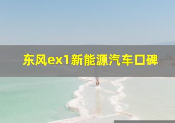 东风ex1新能源汽车口碑