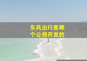 东风出行是哪个公司开发的