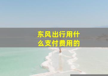 东风出行用什么支付费用的