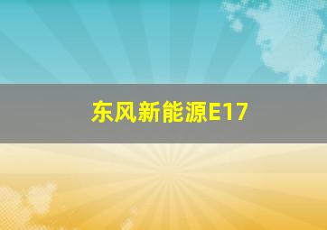 东风新能源E17