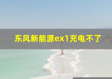 东风新能源ex1充电不了