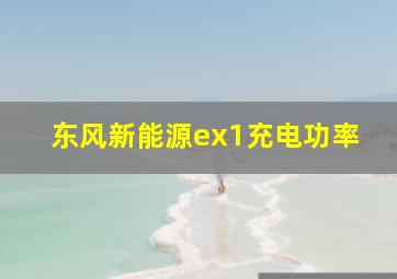 东风新能源ex1充电功率