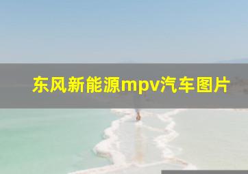 东风新能源mpv汽车图片