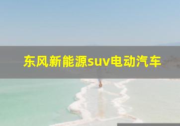 东风新能源suv电动汽车