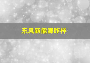 东风新能源咋样