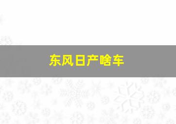 东风日产啥车