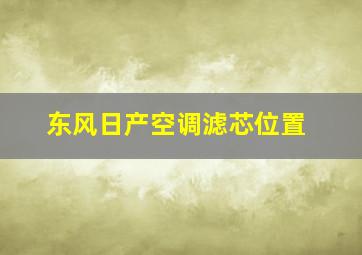 东风日产空调滤芯位置