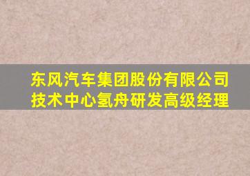 东风汽车集团股份有限公司技术中心氢舟研发高级经理