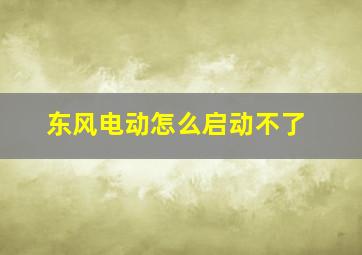 东风电动怎么启动不了