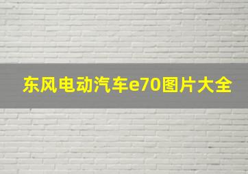 东风电动汽车e70图片大全