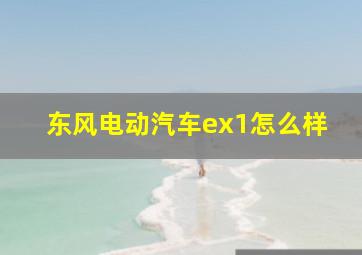 东风电动汽车ex1怎么样