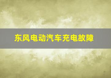 东风电动汽车充电故障