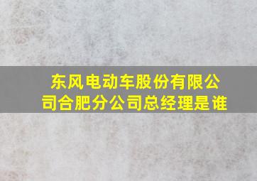 东风电动车股份有限公司合肥分公司总经理是谁