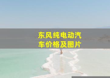 东风纯电动汽车价格及图片