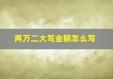 两万二大写金额怎么写